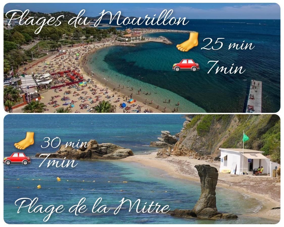 Loft 80M2 En Plein Coeur De La Vieille Ville 3 Etoiles 土伦 外观 照片
